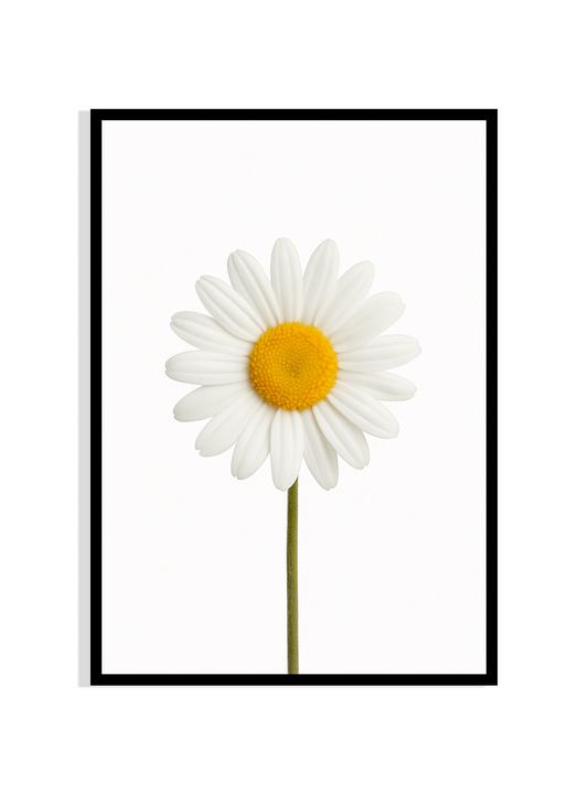 Sunny Daisy – Botanical Wall Art Print